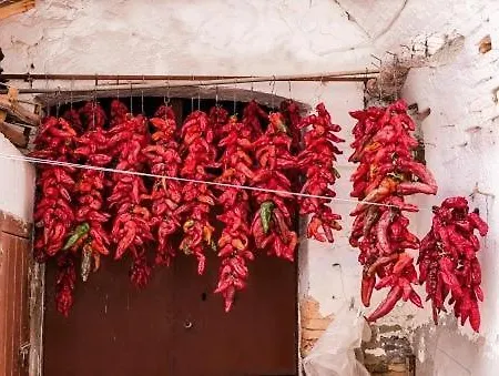 Ninfea Un Giardino In Citta Lejlighed Bari